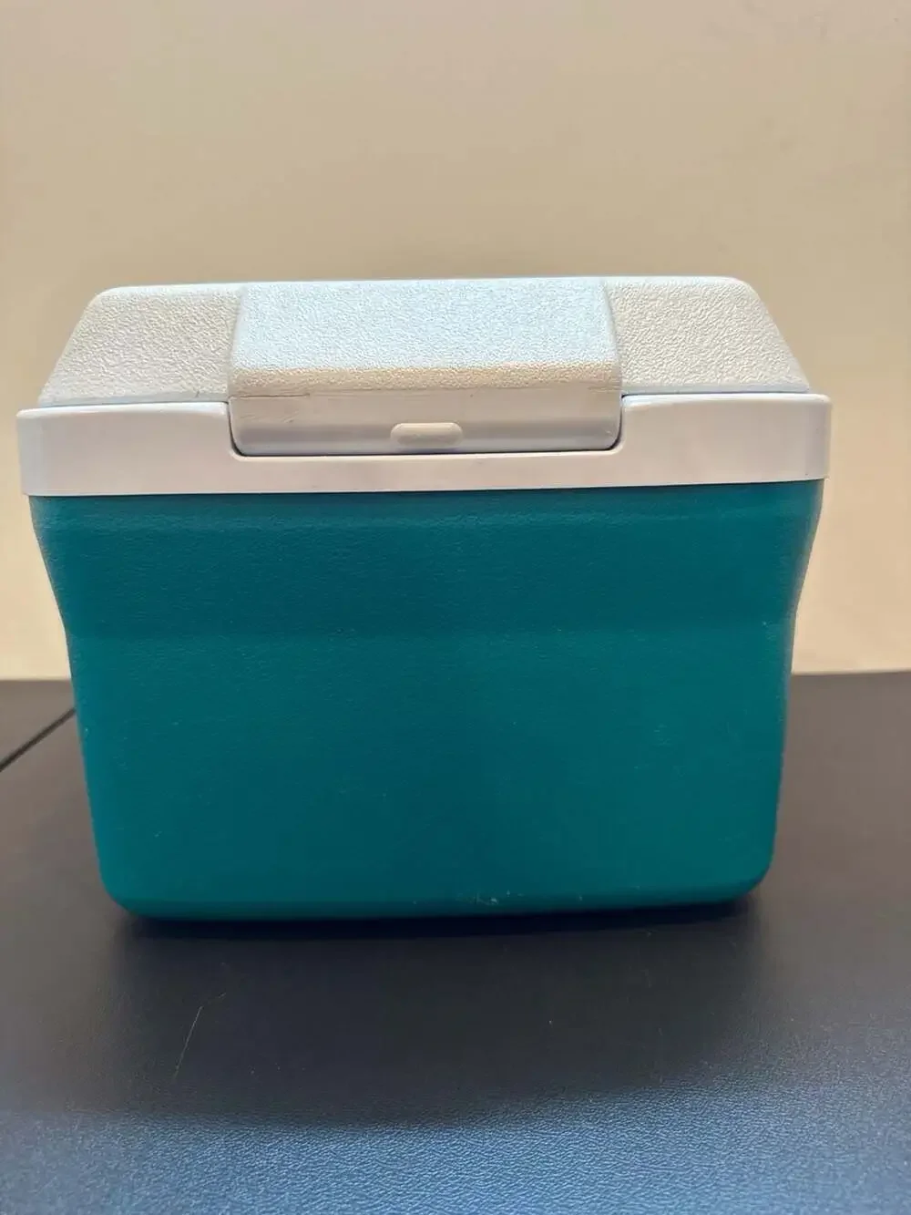 Vintage Rubbermaid Teal and Purple Personal Lunch Cooler